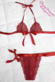 Scarlet Temptation Lingerie Set