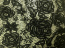 Black rose Fabric