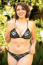 Black Lace Bikini shown with Nipple Covers